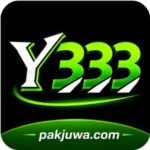 Y333 Game