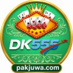DK555 Game