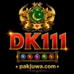 Dk111 Game