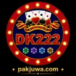 DK222 Game