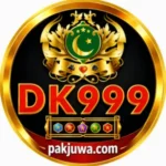 DK999 Game
