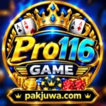 Pro116 Game